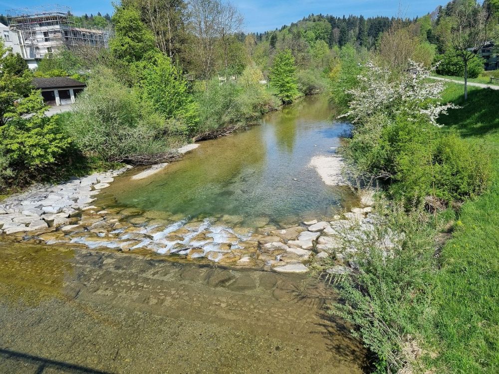 2025-04-28 Sennhof Kyburg - Effretikon-100