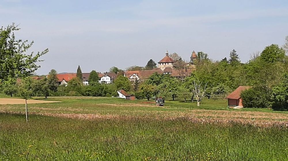 2025-04-28 Sennhof Kyburg - Effretikon-109