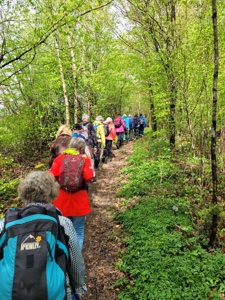2025-04-14 Safenwil - Dulliken-100