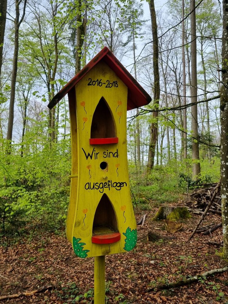 2025-04-14 Safenwil - Dulliken-116