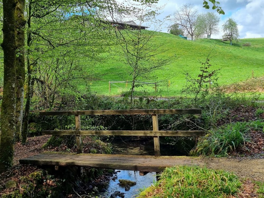 2025-04-14 Safenwil - Dulliken-125