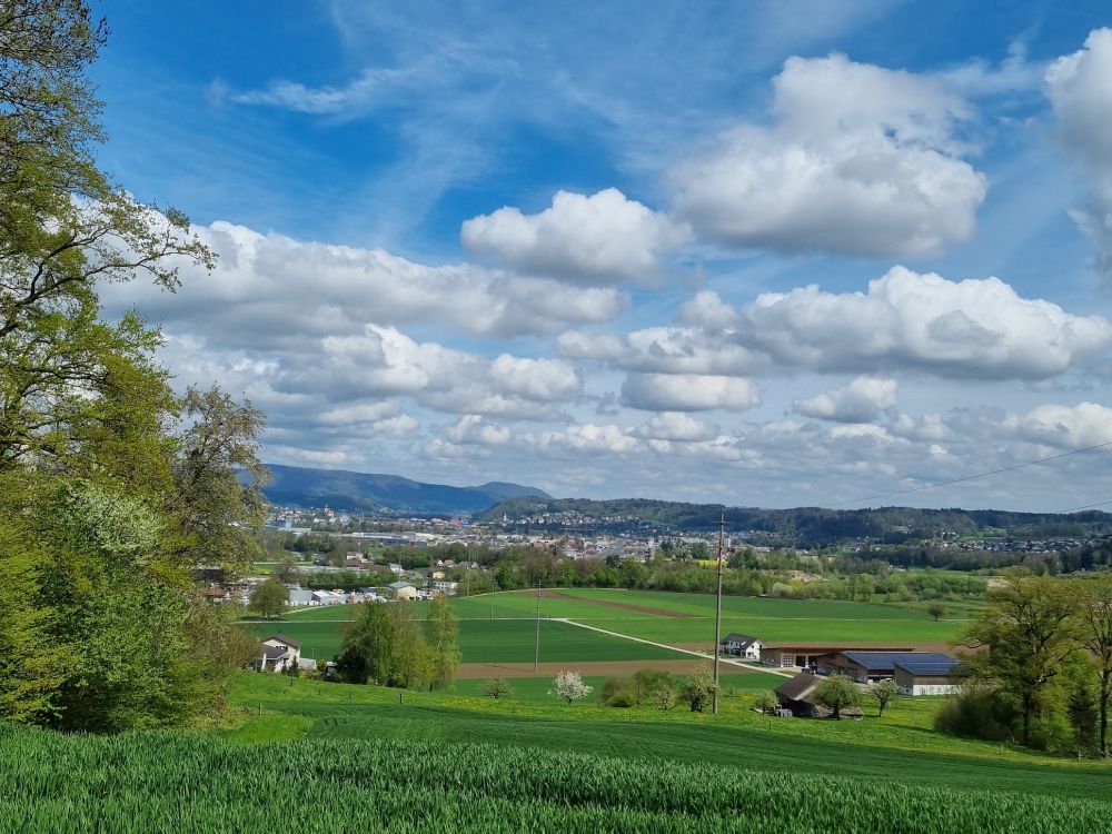 2025-04-14 Safenwil - Dulliken-132
