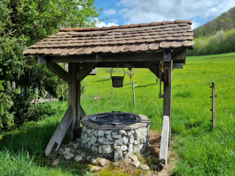 2025-04-14 Safenwil - Dulliken-139