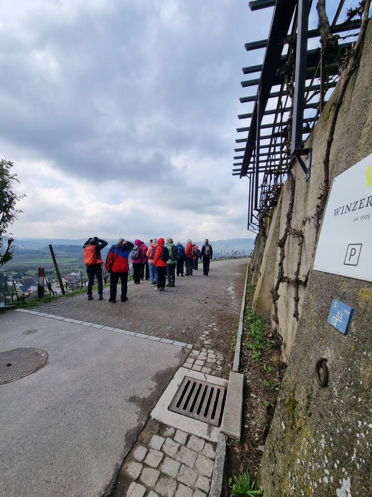 2025-03-17 Weiningen - Wuerenlos-101