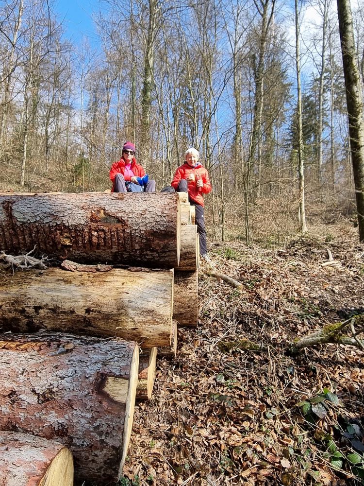 2025-03-17 Weiningen - Wuerenlos-109