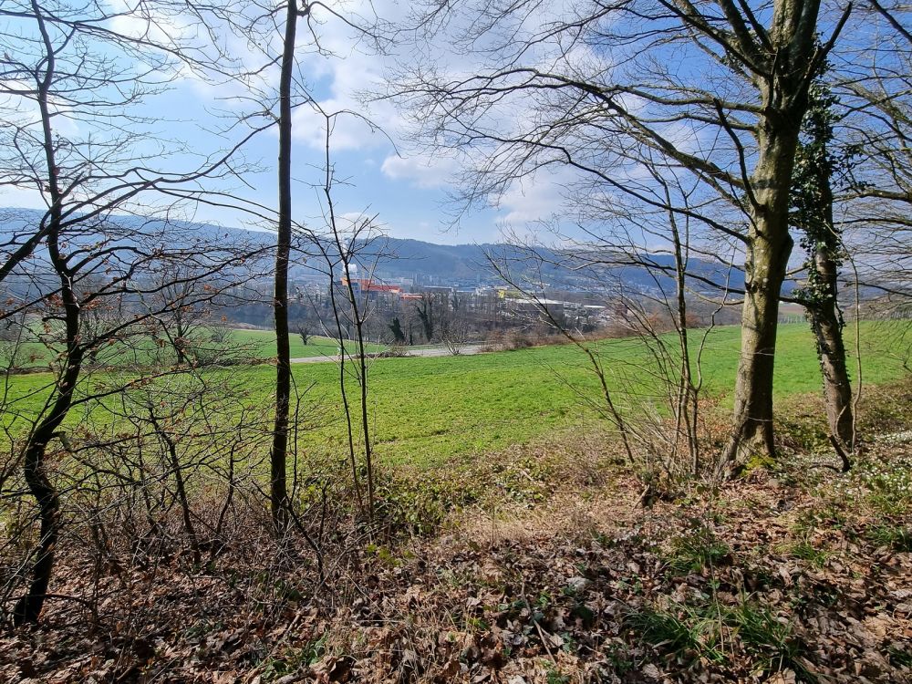 2025-03-17 Weiningen - Wuerenlos-114