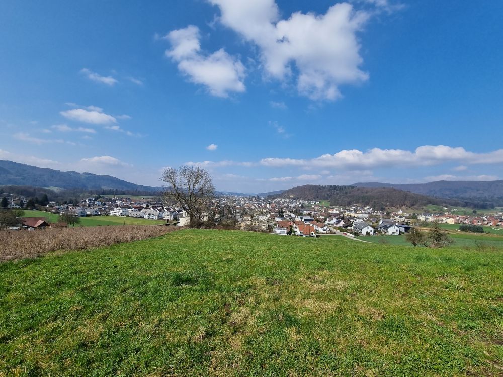 2025-03-17 Weiningen - Wuerenlos-129