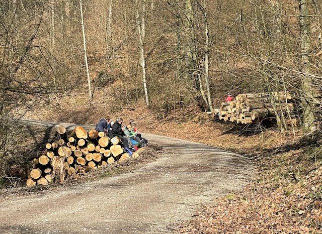 2025-03-17 Weiningen - Wuerenlos-134