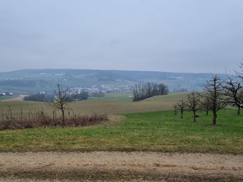 2025-02-17 Niederwenignen - Lengnau - Endingen-106