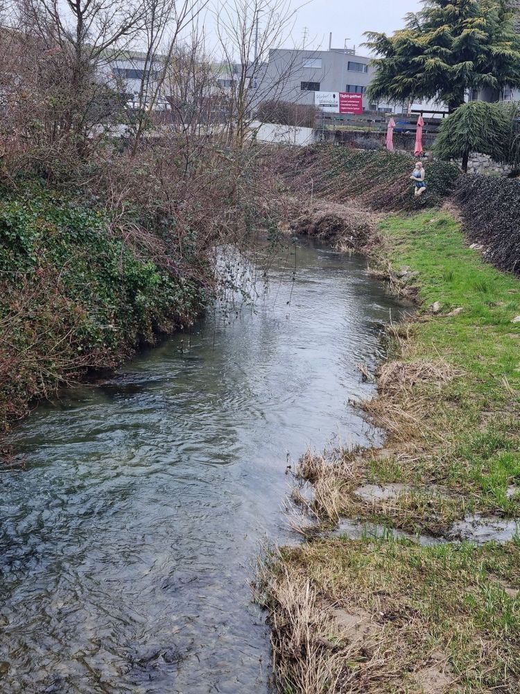2025-02-17 Niederwenignen - Lengnau - Endingen-129