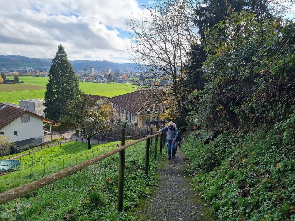 2025-11-03 Zofingen - Rothrist-103