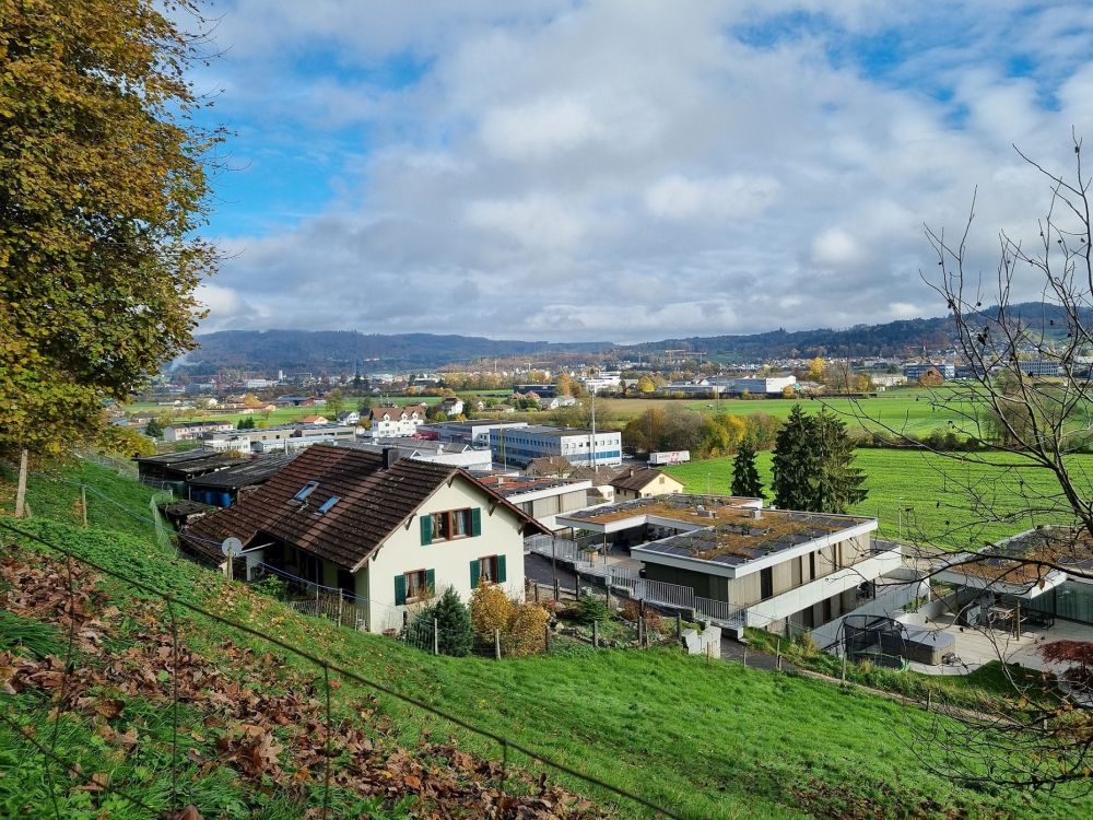 2025-11-03 Zofingen - Rothrist-104