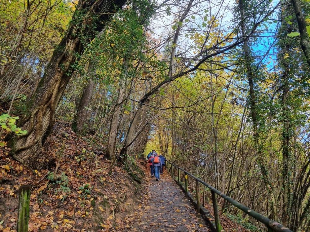 2025-11-03 Zofingen - Rothrist-107