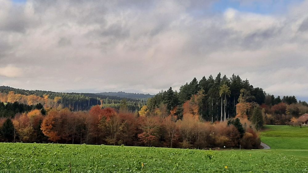 2025-11-03 Zofingen - Rothrist-109